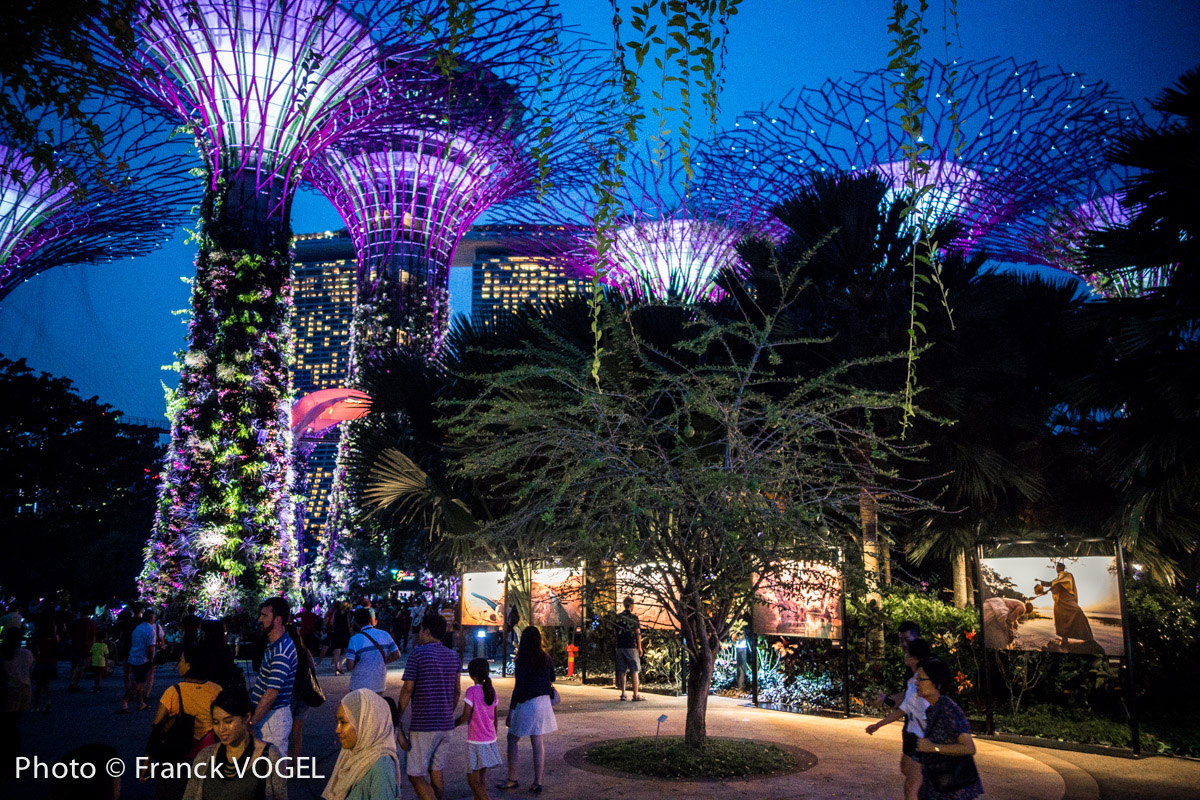 Exposition sur les Fleuves Frontières près des Supertrees, "Arbres métalliques", au Festival VOILAH! à Gardens by the Bay à Singapour.